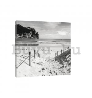 Vászonkép: Homokos tengerpart (fekete-fehér) - 80x60 cm