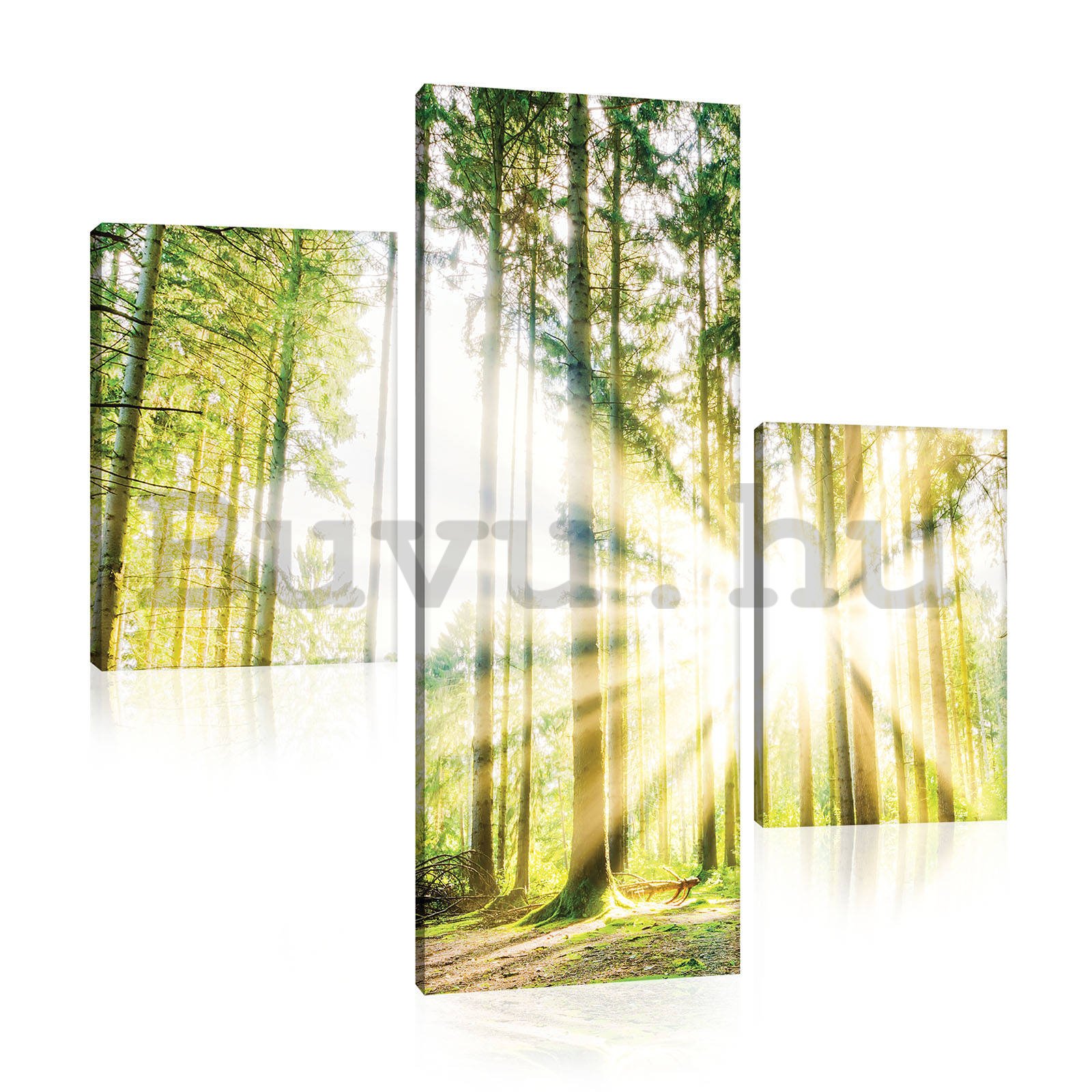 Vászonkép: Napfény az erdőben (2) - készlet 1 db 80x30 cm és 2 db 37,5x24,8 cm