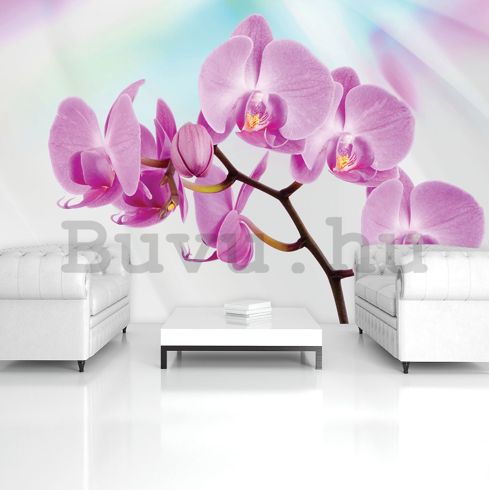 Vlies fotótapéta: Lila orchideák - 416x254 cm