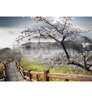 Vlies fotótapéta: Cseresznyefa a lépcső felett - 416x254 cm