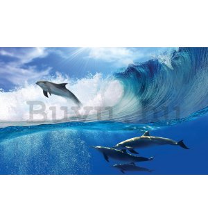 Vlies fotótapéta: Delfinek - 416x254 cm