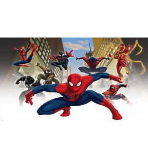 Vlies fotótapéta: Spiderman (1) - 208x146 cm