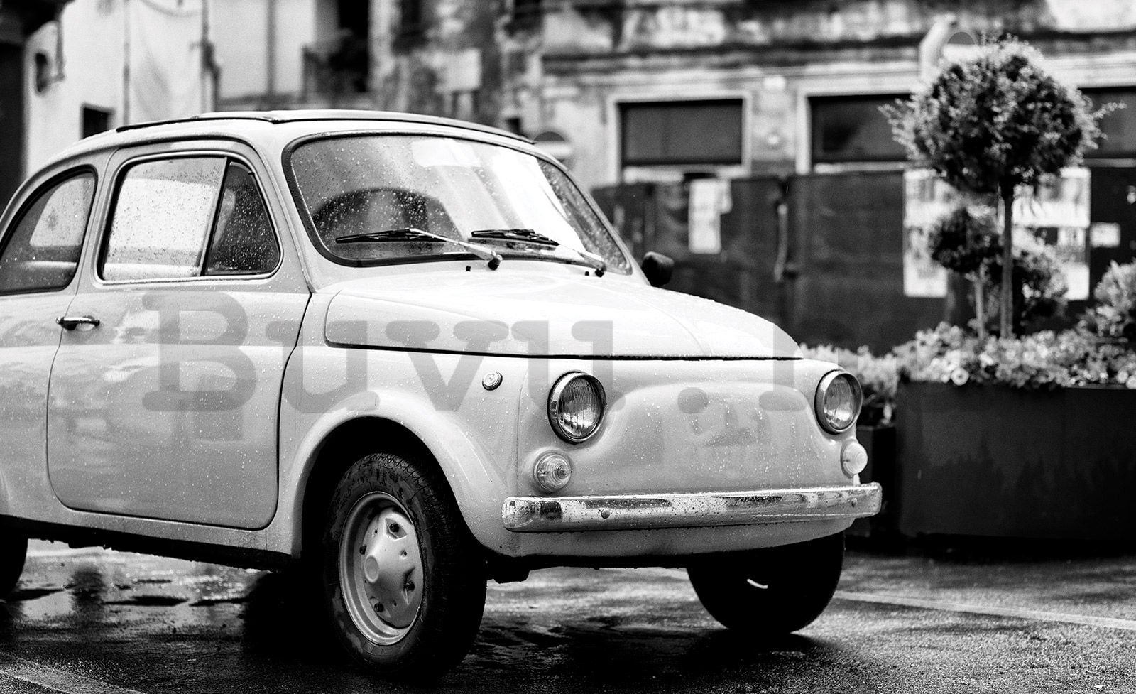 Vlies fotótapéta: Fiat 500 - 416x254 cm