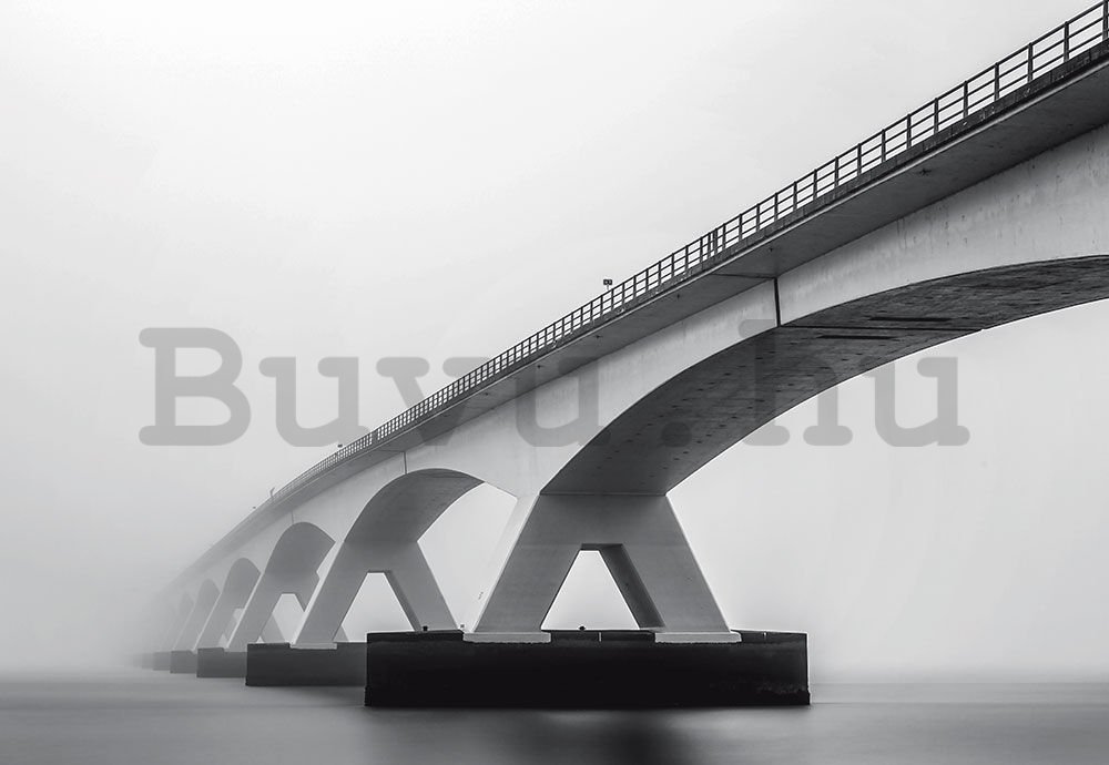 Fotótapéta: Híd (szürke árnyalatok) - 368x254 cm