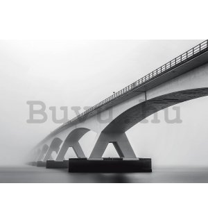 Fotótapéta: Híd (szürke árnyalatok) - 368x254 cm