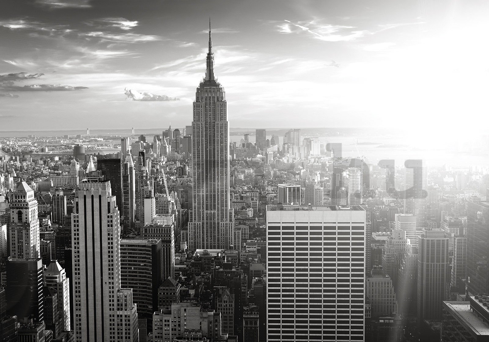 Vlies fotótapéta: Manhattan (fekete-fehér) - 300x210 cm