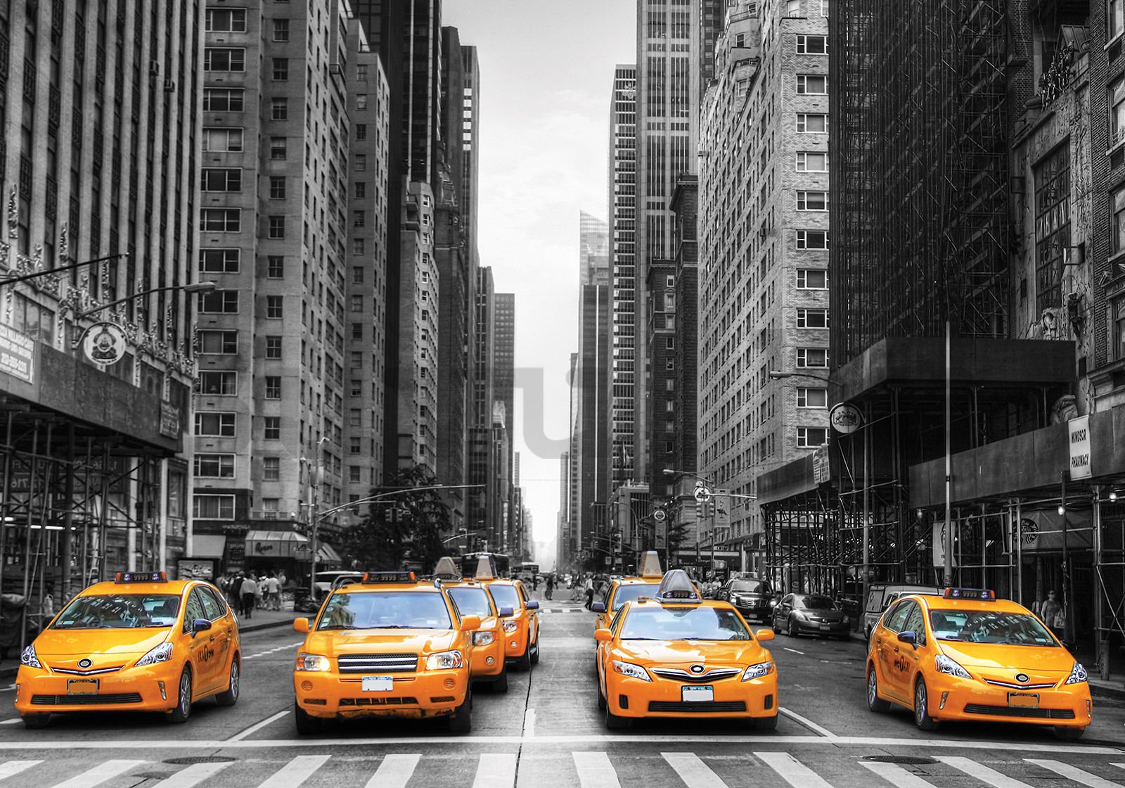 Vlies fotótapéta: NYC Taxi - 350x245 cm