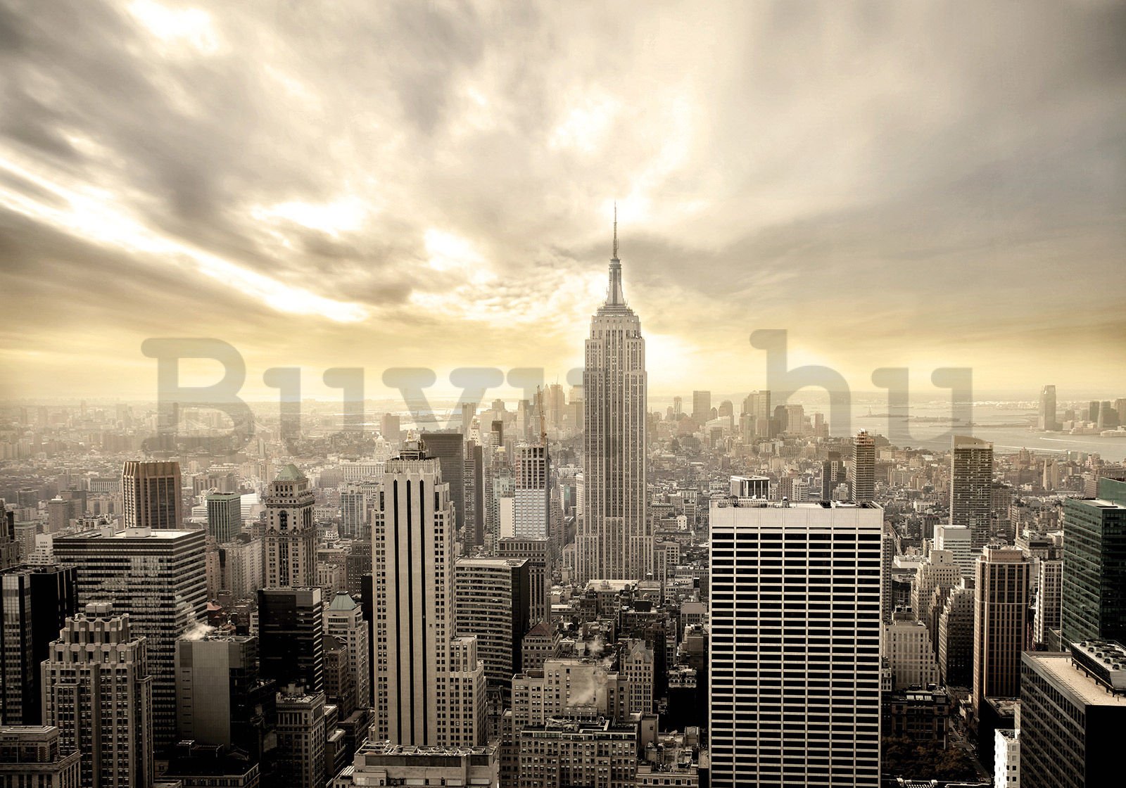 Vlies fotótapéta: Manhattan (szépia hang) - 400x280 cm