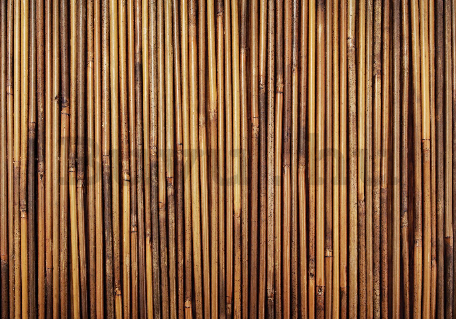 Vlies fotótapéta: Bambusz burkolat - 400x280 cm