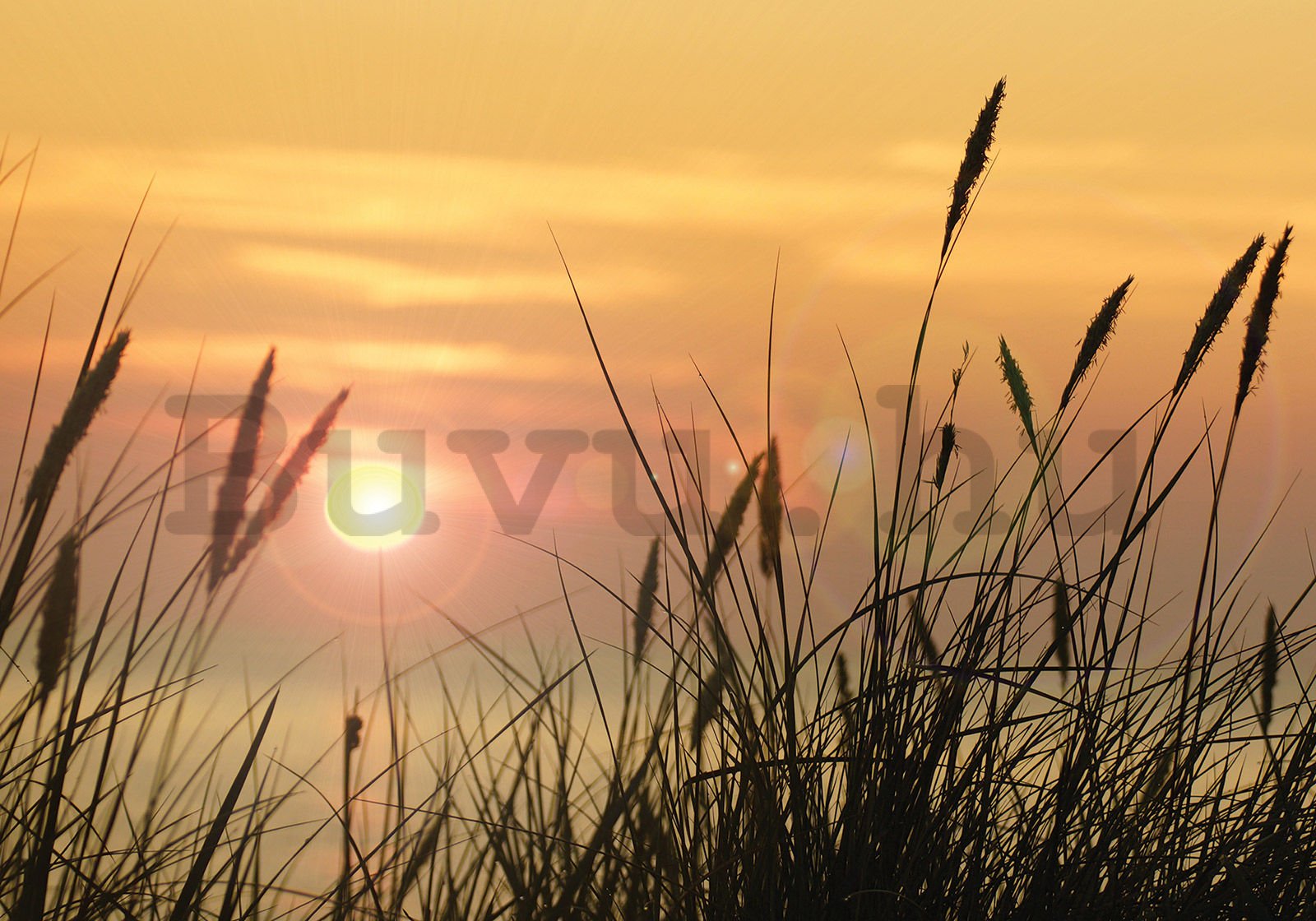 Vlies fotótapéta: Nap a réten - 400x280 cm