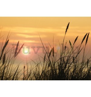 Vlies fotótapéta: Nap a réten - 400x280 cm