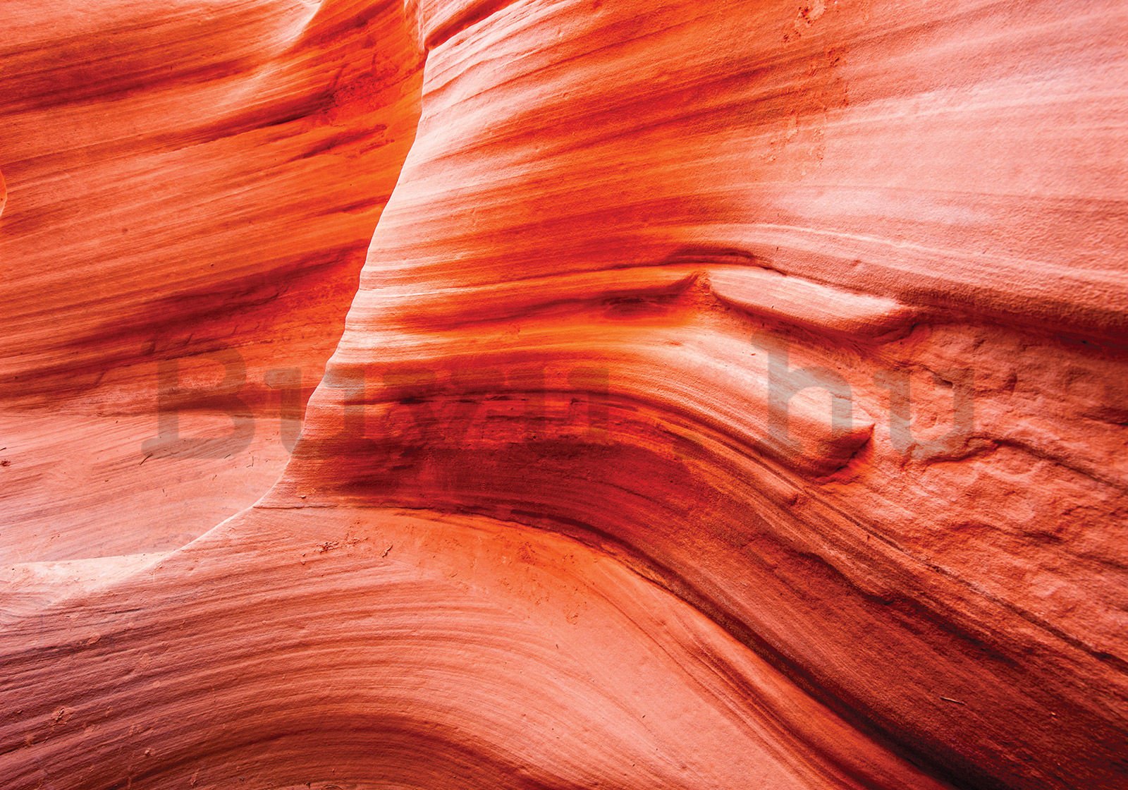 Vlies fotótapéta: Wave Rock Arizona - 400x280 cm