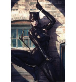 Plakát Catwoman (Spot Light)