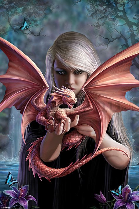 Plakát Anne Stokes, Dragonkin