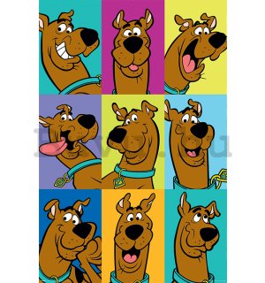 Plakát Scooby Doo (The Many Faces Of Scooby Doo)