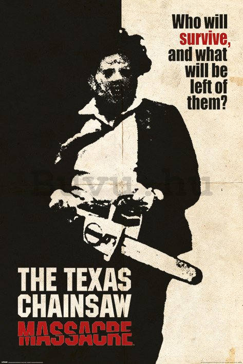 Plakát Texas Chainsaw Massacre (Who Will Survive?)