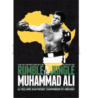 Plakát Muhammad Ali (Rumble In The Jungle)