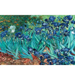 Plakát Van Gogh (Les Irises)