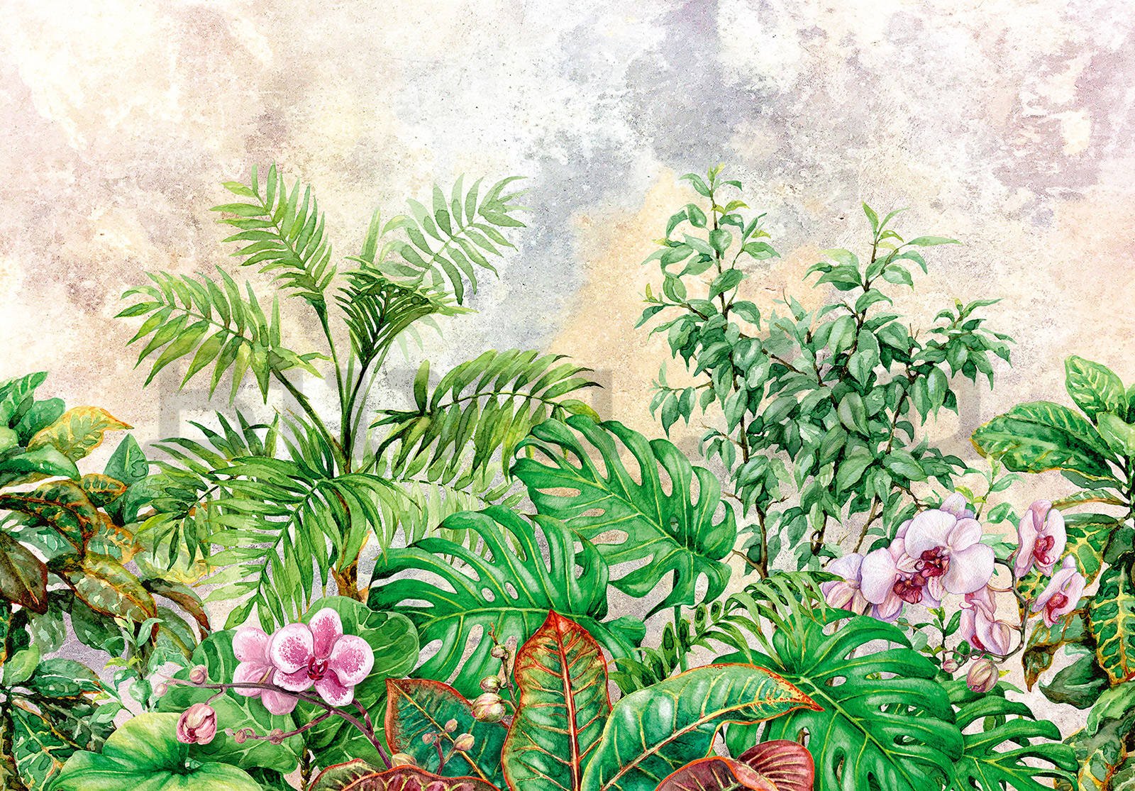 Vlies fotótapéta: Festett növények - 254x184 cm