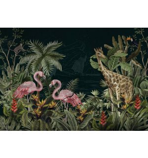 Vlies fotótapéta: Flamingók és zsiráfok - 368x254 cm