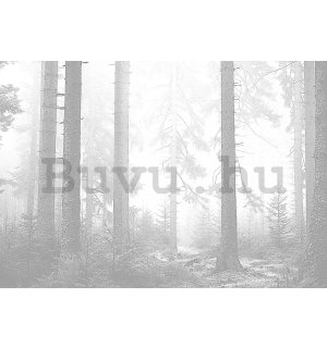 Vlies fotótapéta: Fekete-fehér erdő (3) - 254x184 cm