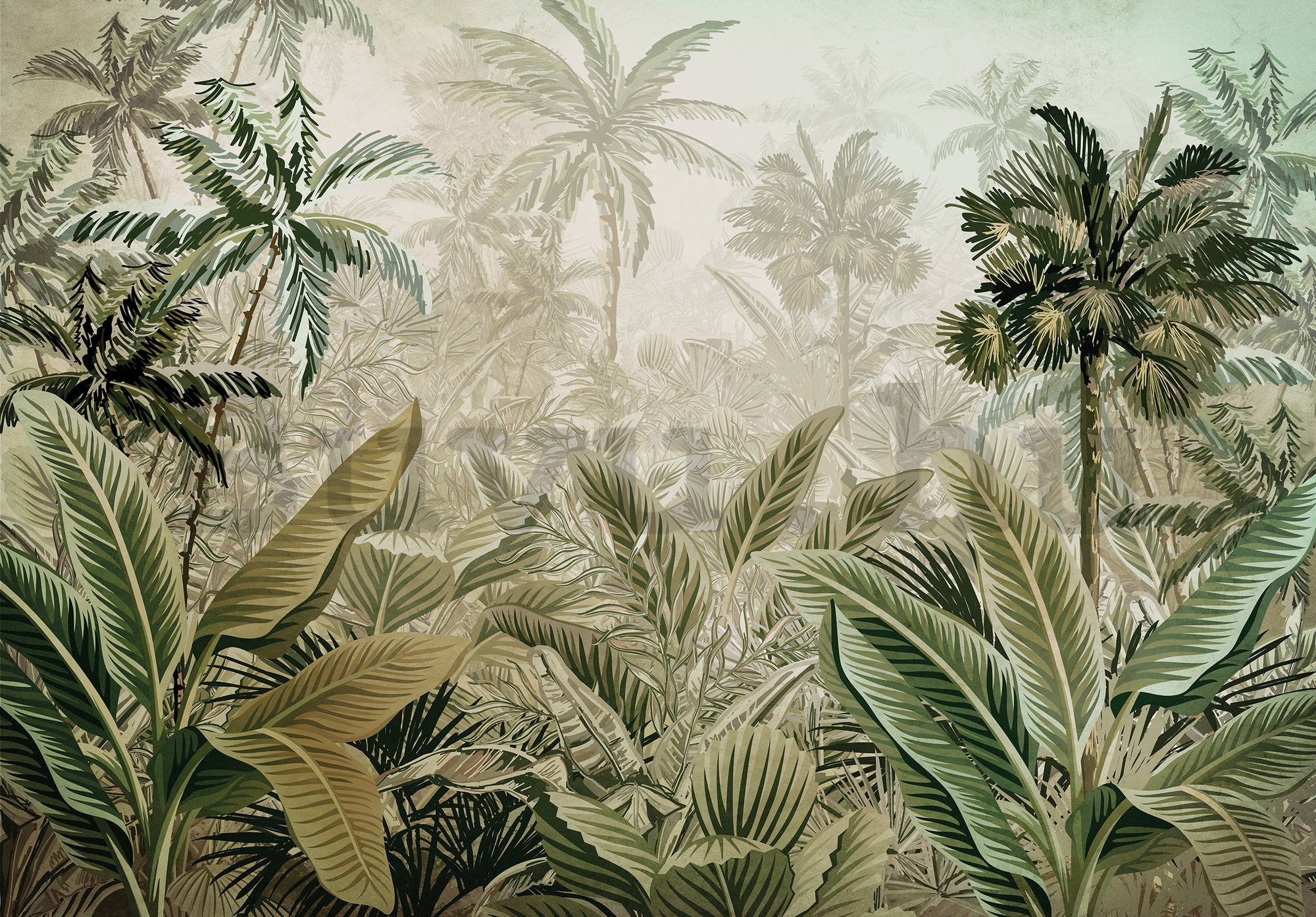 Vlies fotótapéta: Trópusi növényzet - 254x184 cm