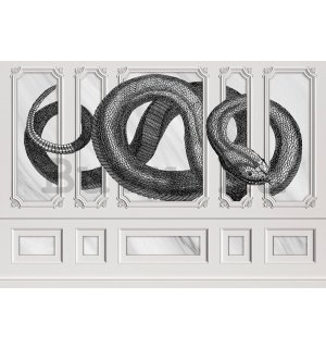 Vlies fotótapéta: Kígyó dekoráció - 368x254 cm