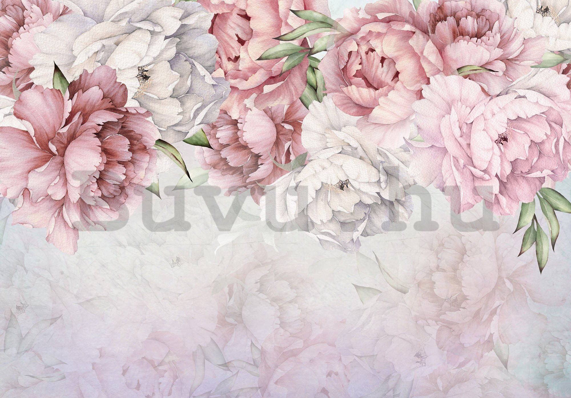Vlies fotótapéta: Fehér és rózsaszín rózsák - 368x254 cm