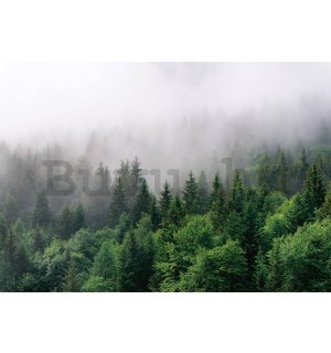 Vlies fotótapéta: Köd az erdő felett (2) - 152,5x104 cm