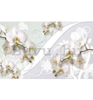 Fotótapéta: Fehér orchidea (minta) - 254x368 cm
