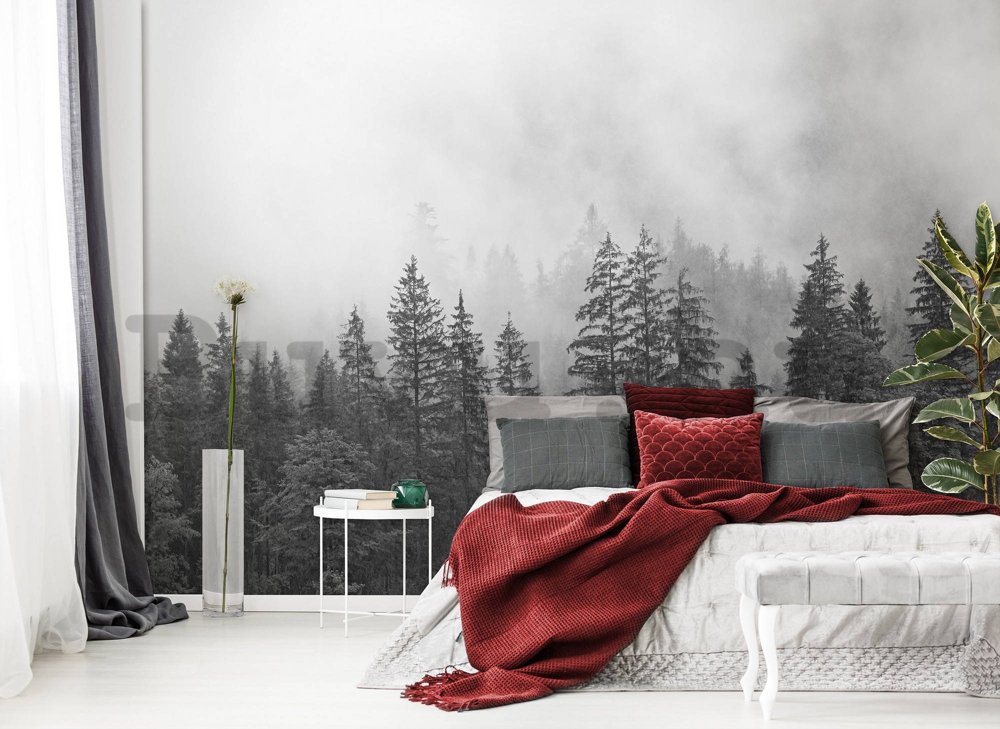 Vlies fotótapéta: Köd a fekete-fehér erdő felett - 416x254 cm