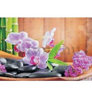 Fotótapéta: Orchidea (1) - 368x254 cm