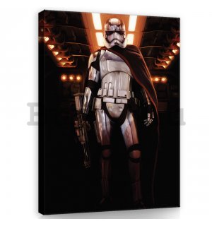 Vászonkép: Star Wars Captain Phasma (1) - 75x100 cm