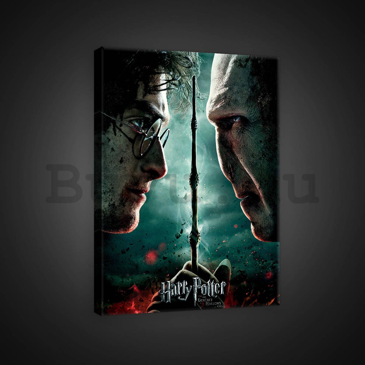 Vászonkép: Harry Potter and Deathly Hallows Part 5 - 75x100 cm