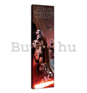 Vászonkép: Star Wars Captain Phasma Poster - 45x145 cm
