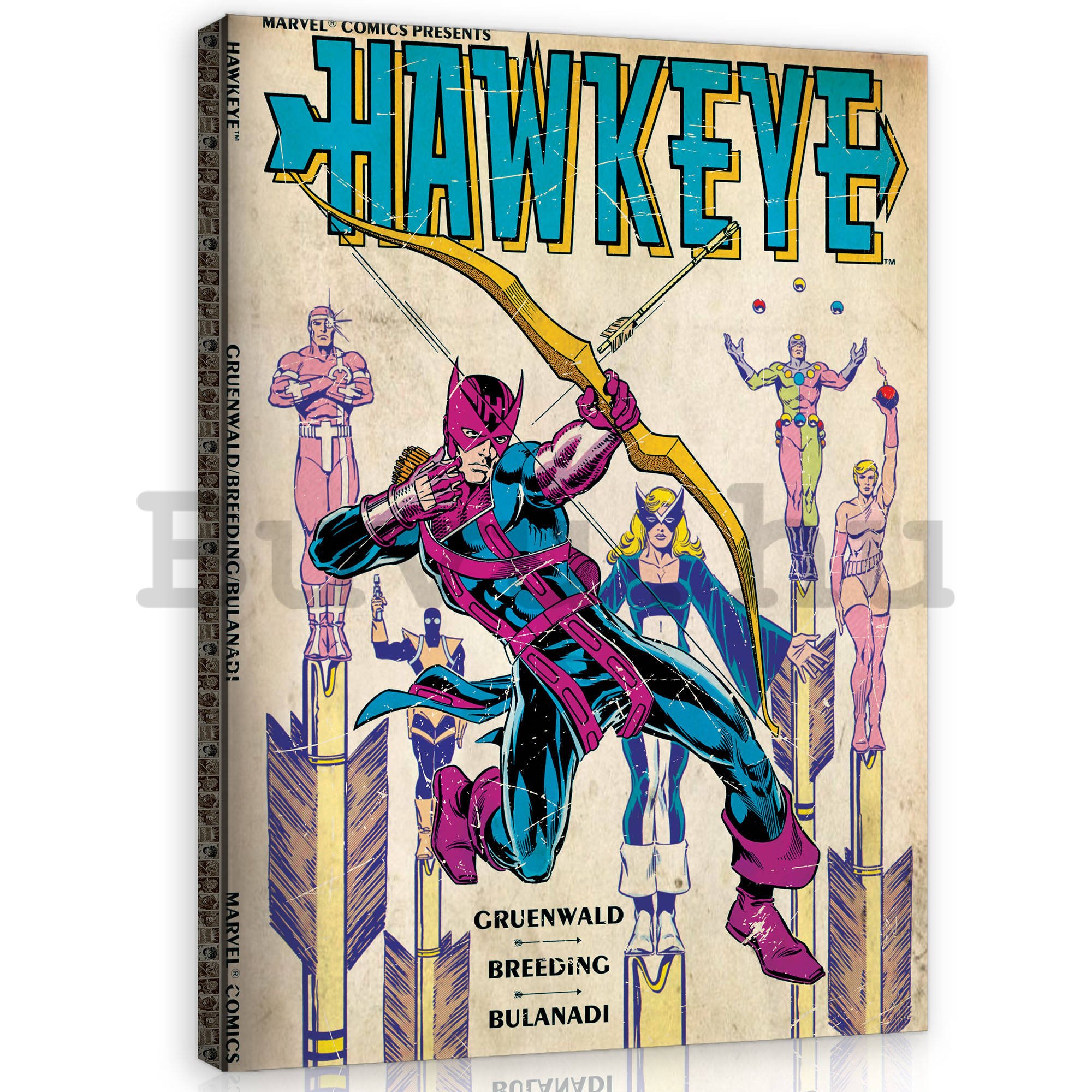 Vászonkép: Hawkeye - 60x80 cm