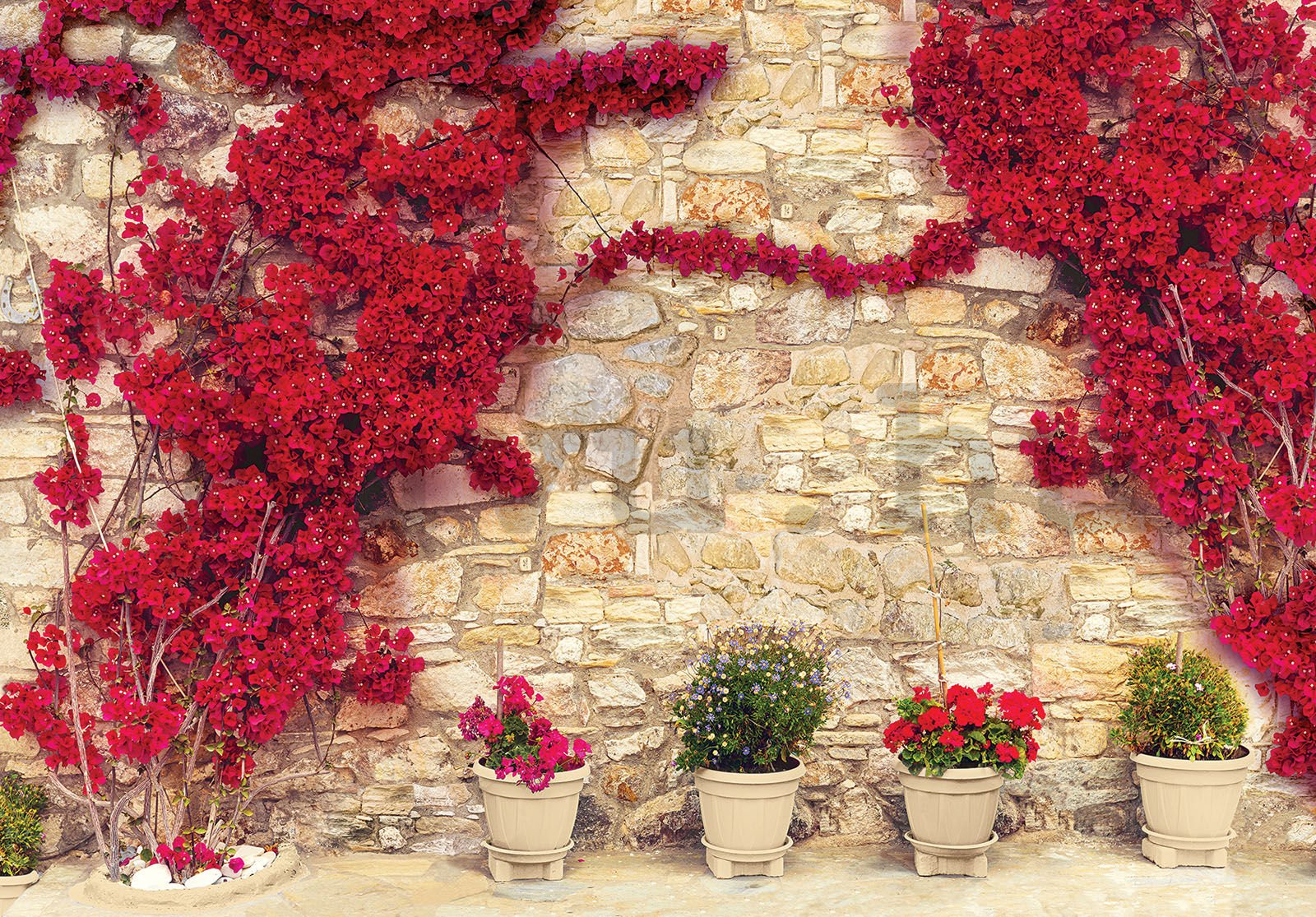 Vlies fotótapéta: Piros virágos fal (2) - 254x184 cm