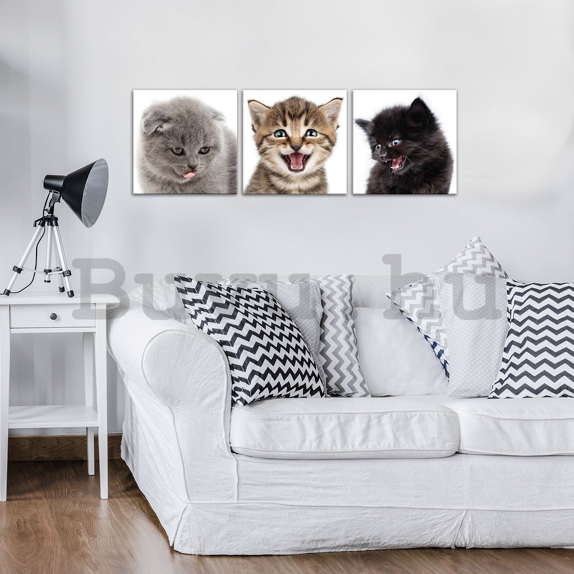 Vászonkép: Kittens (1) - készlet 3db 25x25cm