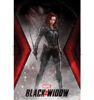 Plakát - Black Widow (Widowmaker Battle Stance)