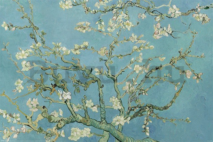 Plakát - Van Gogh, Mandulavirágok