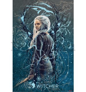 Plakát - Vaják, The Witcher (Ciri the Swallow)