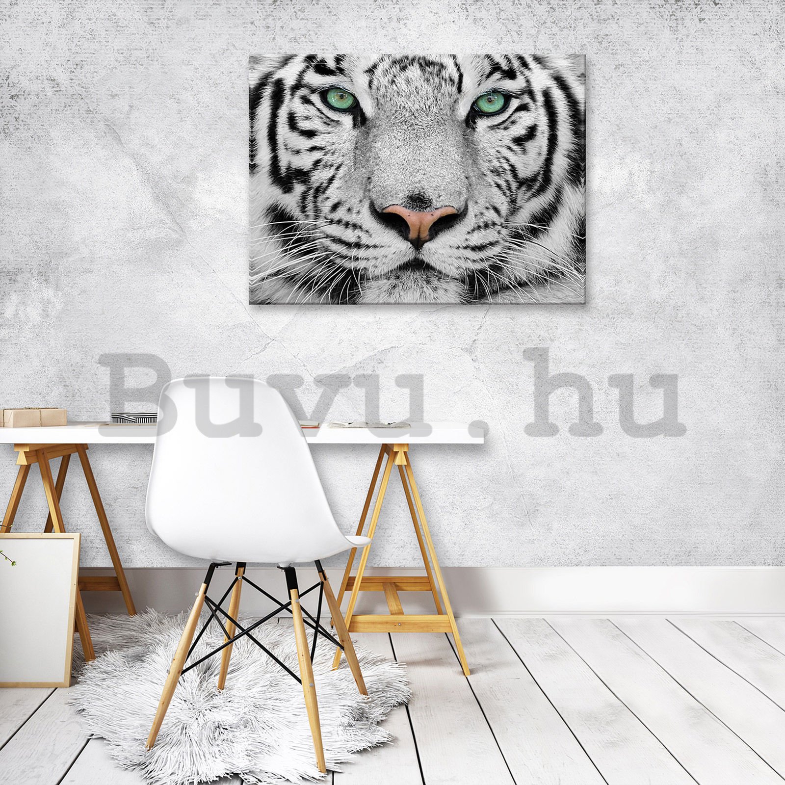Vászonkép: Fehér tigris - 80x60 cm