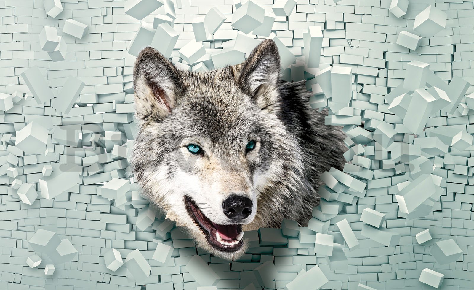 Fotótapéta: A farkas és a fal - 254x184 cm
