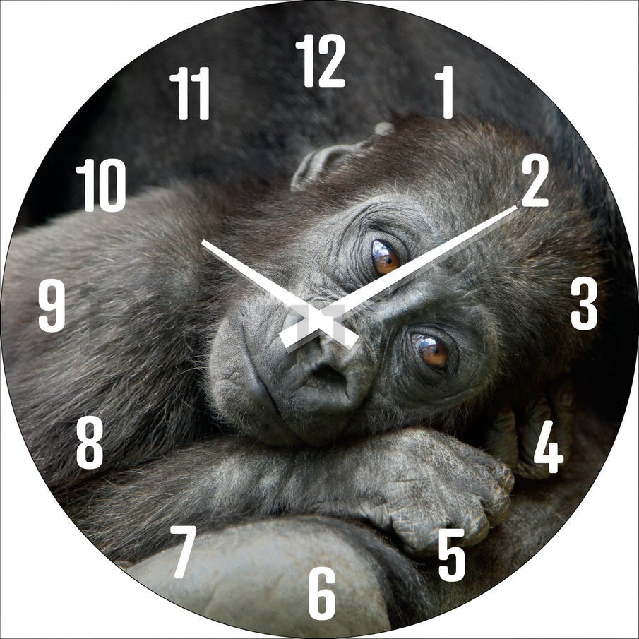 Falióra: Egy gorillabébi - 30 cm