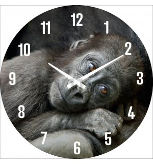 Falióra: Egy gorillabébi - 30 cm