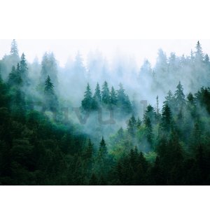 Vlies fotótapéta: Köd az erdő felett (3) - 254x184 cm