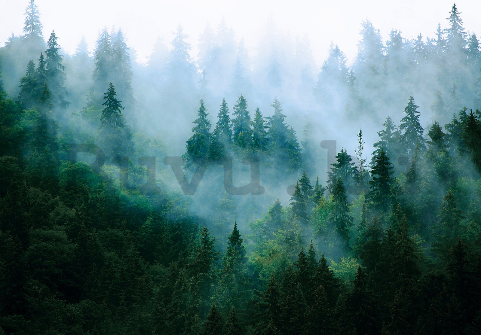 Vlies fotótapéta: Köd az erdő felett (3) - 368x254 cm