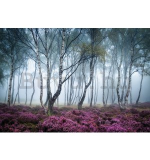 Vlies fotótapéta: A titokzatos erdő - 368x254 cm