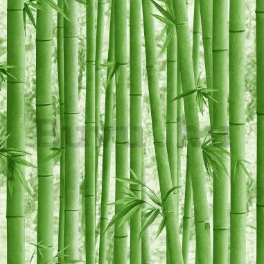 Vinyl tapéta bambusz