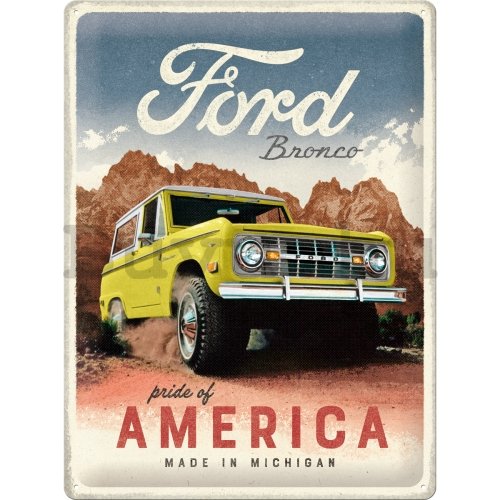 Fémtáblák: Ford Bronco (Pride of America) - 30x40 cm